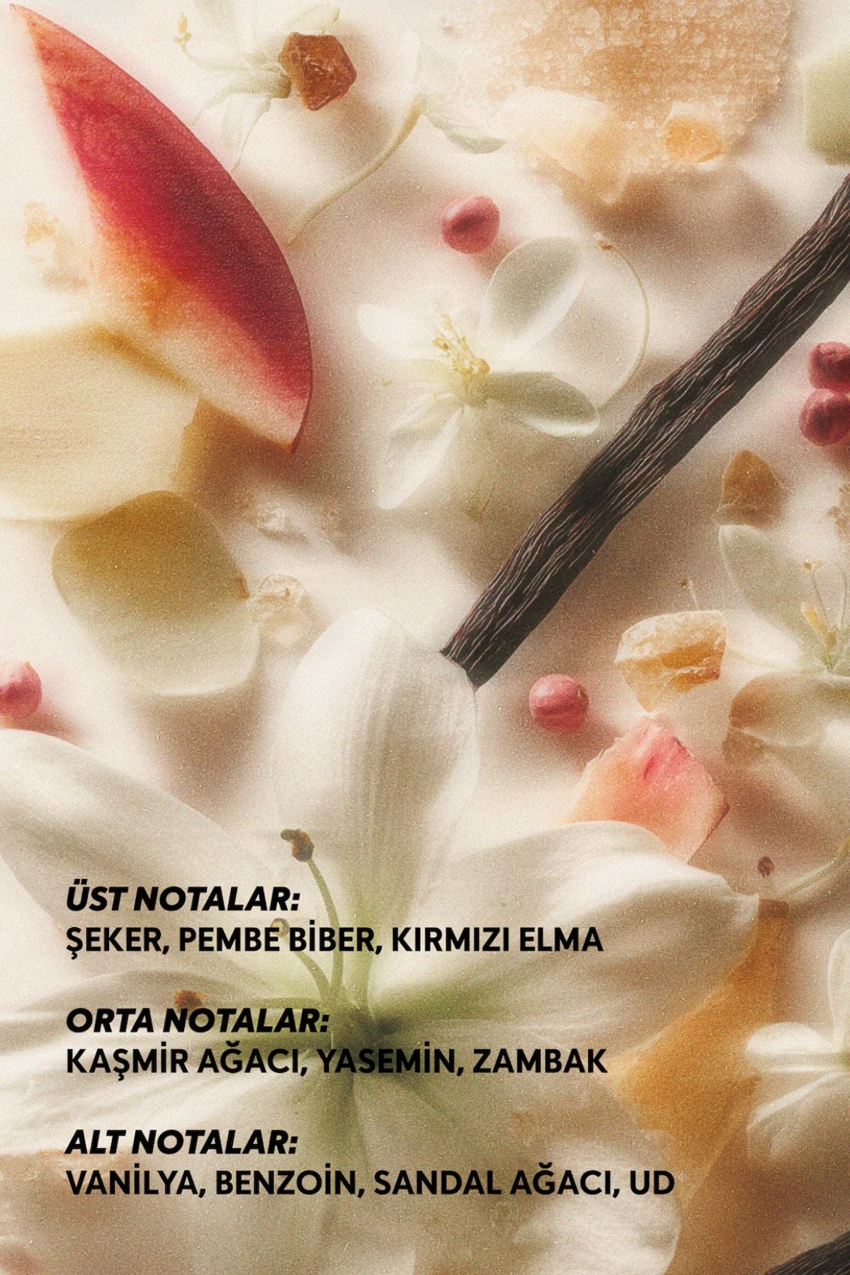 Aura Eau de Parfum İkili