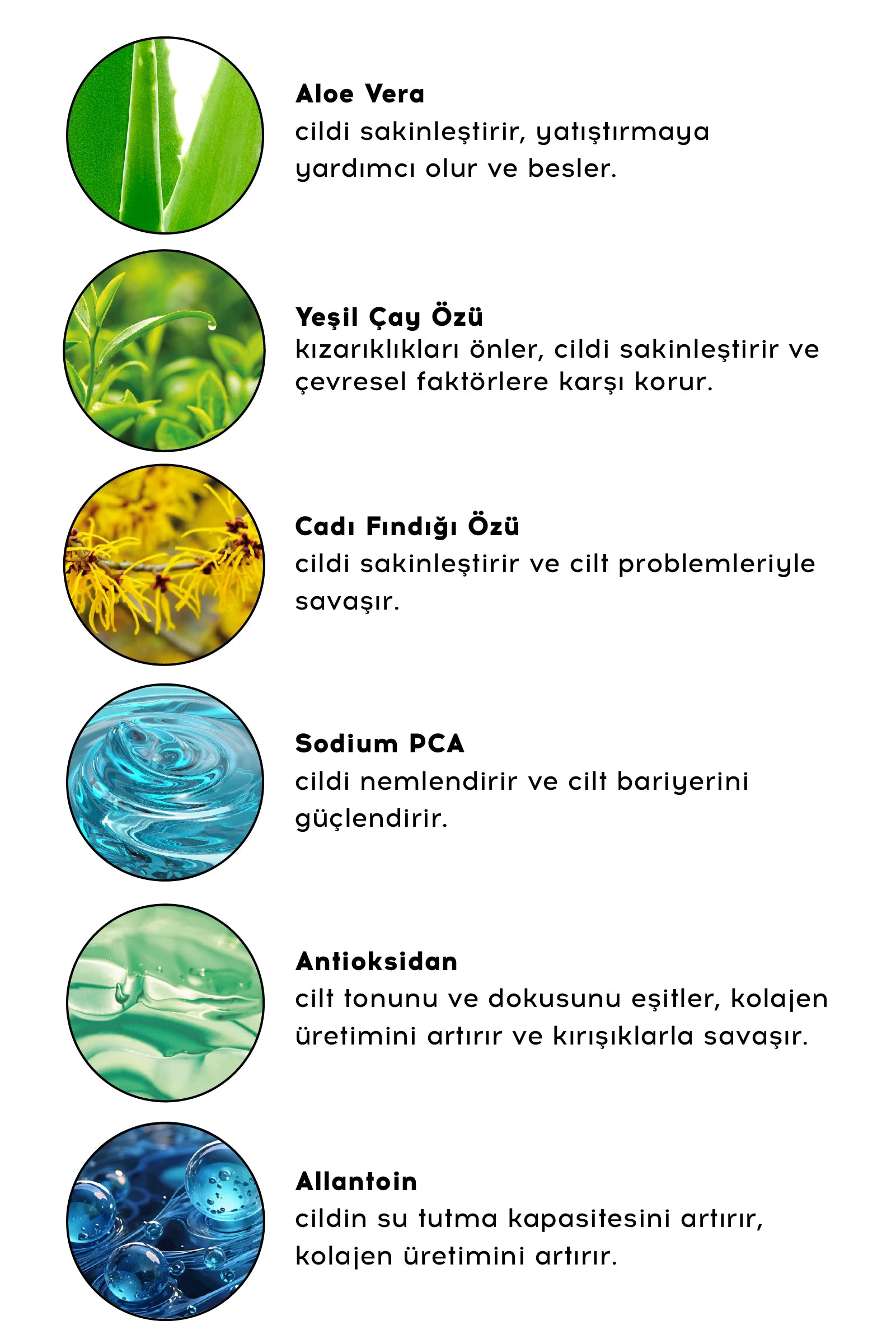 Cream Cleanser
