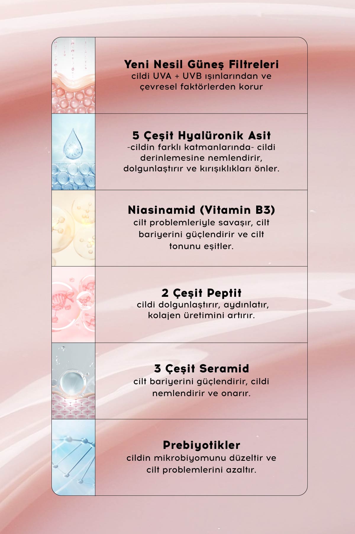 Everyday Pink SPF